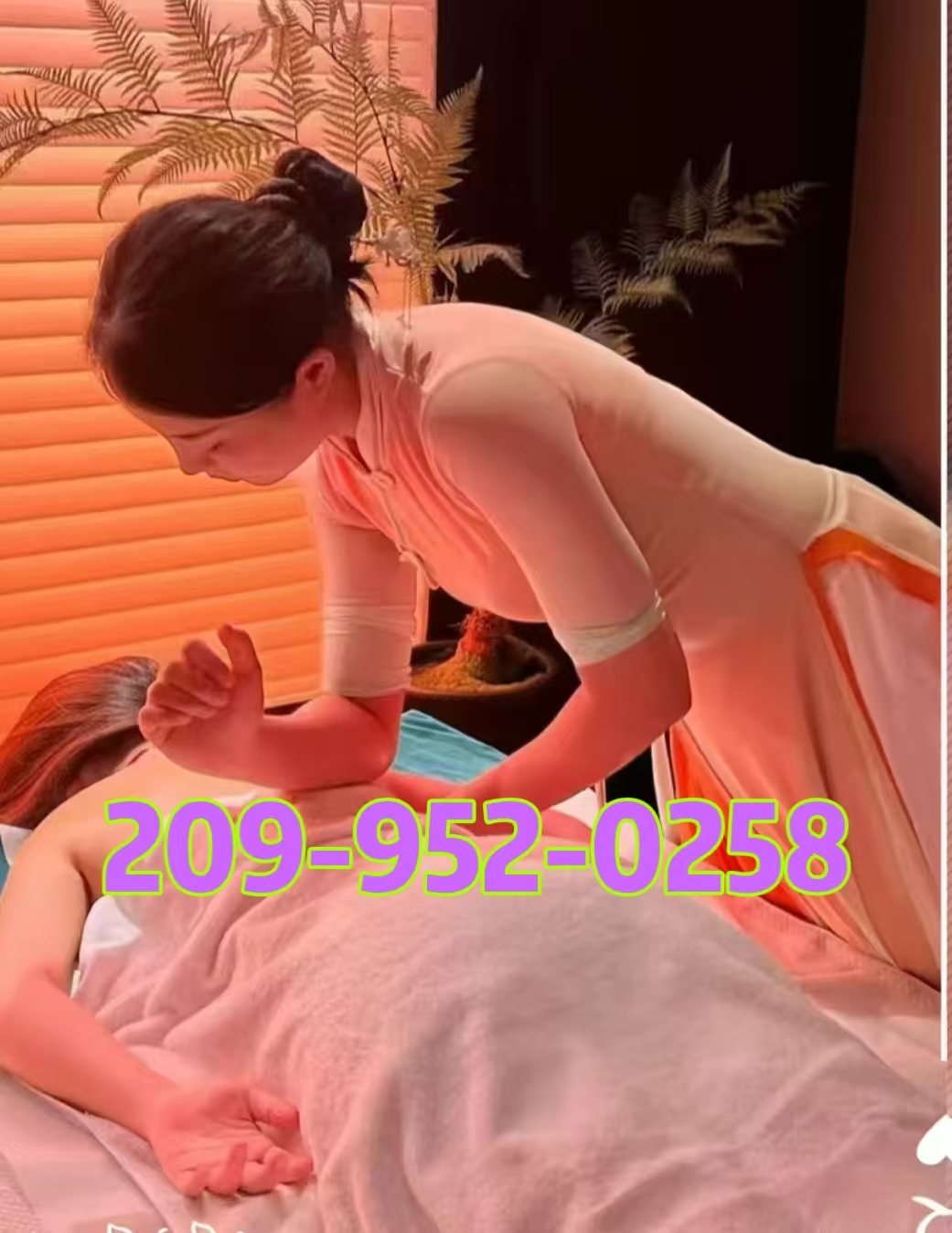 209-952-0258 1